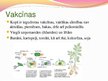 Presentations 'Ģenētiski modificēti organismi - kas tie ir un kur tos izmanto', 16.
