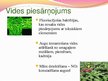 Presentations 'Ģenētiski modificēti organismi - kas tie ir un kur tos izmanto', 19.
