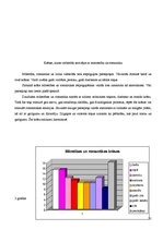 Research Papers 'Pamatskolas skolēnu krāsu uztveres īpatnības', 25.