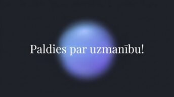 Presentations 'Kāpēc luksusa preces turpina pārdoties ekonomisko krīžu laikā?', 16.