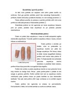 Research Papers 'Pirkstu un plaukstas daļas protezēšana', 7.