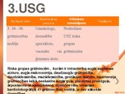Research Papers 'Grūtnieču ultrasonogrāfija', 27.