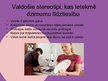 Presentations 'Dzimumu līdztiesība Latvijā', 11.
