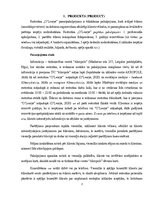 Research Papers 'Mārketinga analīze uzņēmumā O'LEARYS', 3.