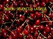 Presentations 'Ķiršu selekcija Latvijā', 1.