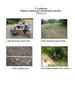 Research Papers 'Tūristu ietekme uz Gaujas piekrastes tūristu apmetņu vidi', 27.