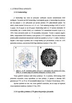 Research Papers 'Dengue vīrusa EDIII rajona eksponēšana uz fr apvalka proteīna virsmas', 5.