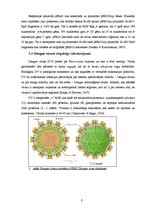 Research Papers 'Dengue vīrusa EDIII rajona eksponēšana uz fr apvalka proteīna virsmas', 6.