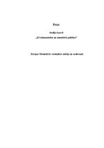 Essays 'Eiropas Monetārās savienības mērķi un uzdevumi', 1.