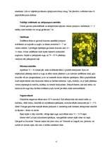 Research Papers 'Eļļas augu audzēšanas tehnoloģijas un izmantošana', 4.
