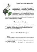 Research Papers 'Eļļas augu audzēšanas tehnoloģijas un izmantošana', 21.