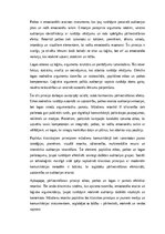 Essays 'Retorika un komunikācijas māksla: pārliecināšanas principi un efektīvas runas st', 3.