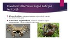 Presentations 'Invazīvās dzīvnieku sugas Latvijā', 5.