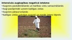 Presentations 'Intensīvā lauksaimniecība', 12.