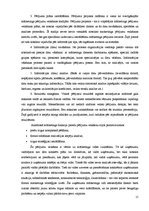 Term Papers 'Uzņēmuma mārketinga vides un stratēģijas analīze un darbības plānošana', 17.