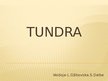 Presentations 'Tundra', 1.