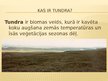Presentations 'Tundra', 2.