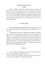 Research Papers 'Silīcijs un ogleklis', 4.