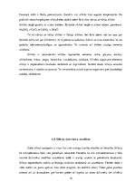 Research Papers 'Silīcijs un ogleklis', 15.