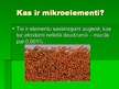 Presentations 'Augsnes mikroelementi un to nozīme ekosistēmā, cilvēka saimnieciskās darbības ie', 2.