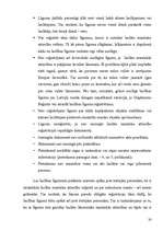 Research Papers 'Laulāto līgumiskās, mantiskās tiesības. Laulības līgums, laulāto mantisko attiec', 20.