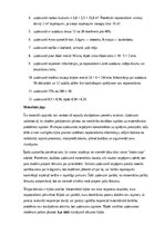 Samples 'Matemātika – skaitļošana, loģika un praktiskie uzdevumi', 20.
