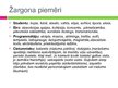 Presentations 'Žargona un slenga loma saskarsmē', 10.