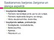 Presentations 'Žargona un slenga loma saskarsmē', 13.