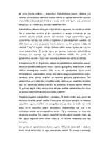 Essays 'Apdrošināšana kā drošības un atbildības mehānisms sabiedrībā', 2.