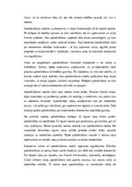 Essays 'Apdrošināšana kā drošības un atbildības mehānisms sabiedrībā', 4.