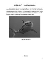 Research Papers 'Niršana pie baltās nāves - haizivīm. Tūrisms', 4.