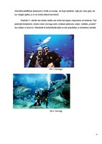 Research Papers 'Niršana pie baltās nāves - haizivīm. Tūrisms', 8.