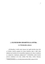 Term Papers 'Cilvēktiesību ierobežošana', 7.