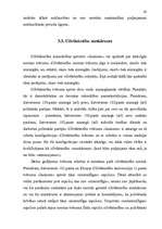 Term Papers 'Cilvēktiesību ierobežošana', 42.