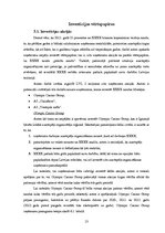 Research Papers 'Uzņēmuma SIA "X" finanšu līdzekļu vadība', 13.