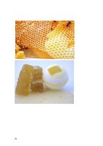Research Papers 'Medus un citu bišu produktu pielietojums ārstniecībā un kosmetoloģijā', 28.