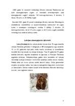 Research Papers 'Latvijas aizsargājamie dzīvnieki', 4.