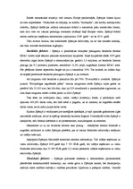 Research Papers 'SIA "Stenders" produkts un eksporta valsts Spānijas mārketinga vides analīze', 13.