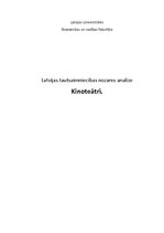 Research Papers 'Latvijas tautsaimniecības nozares analīze. Kinoteātri', 1.