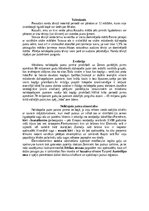 Summaries, Notes 'Nelidojošie putni', 4.