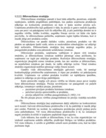 Research Papers 'A/s "Valmieras stikla šķiedra" stratēģijas izvēle un realizēšana', 15.