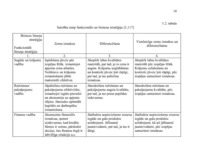 Research Papers 'A/s "Valmieras stikla šķiedra" stratēģijas izvēle un realizēšana', 18.