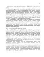Research Papers 'A/s "Valmieras stikla šķiedra" stratēģijas izvēle un realizēšana', 35.