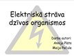 Presentations 'Elektriskā strāva dzīvos organismos', 1.