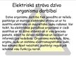 Presentations 'Elektriskā strāva dzīvos organismos', 3.