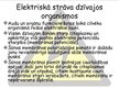 Presentations 'Elektriskā strāva dzīvos organismos', 4.