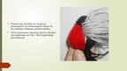 Presentations 'Kā tin, sien rotājumus no dzijas?', 15.