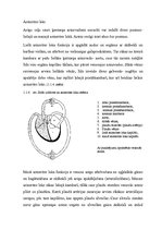 Research Papers 'Sirds un tās slimības', 11.