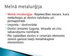 Presentations 'Metalurģija', 14.