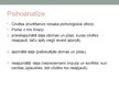 Presentations 'Personība. Psihodinamiskais novirziens. Freida teorija', 5.